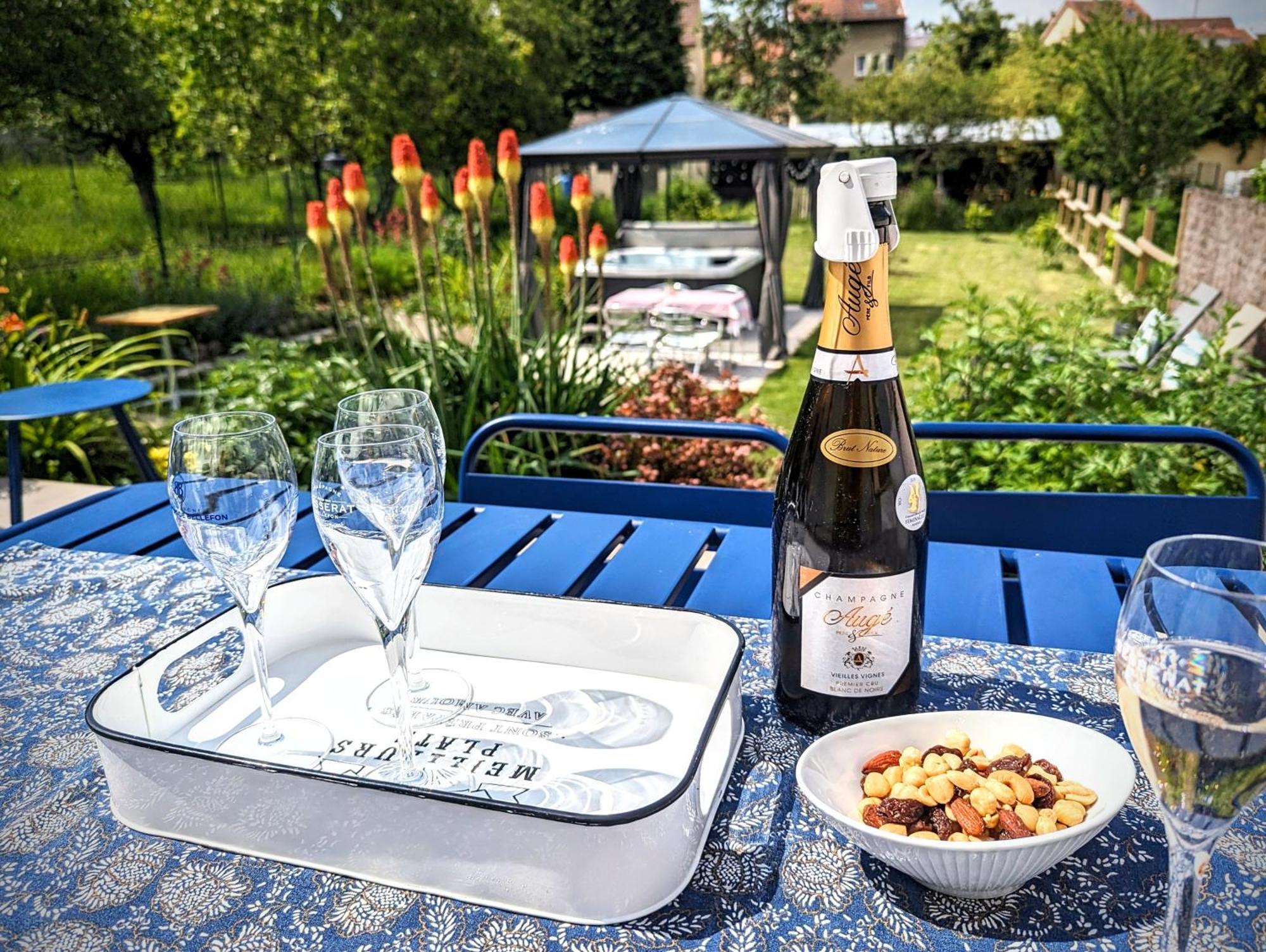 Le Cemarose: Spa, Jardin, Terrasse Et Jolie Vue Au Coeur D'Epernay Ngoại thất bức ảnh
