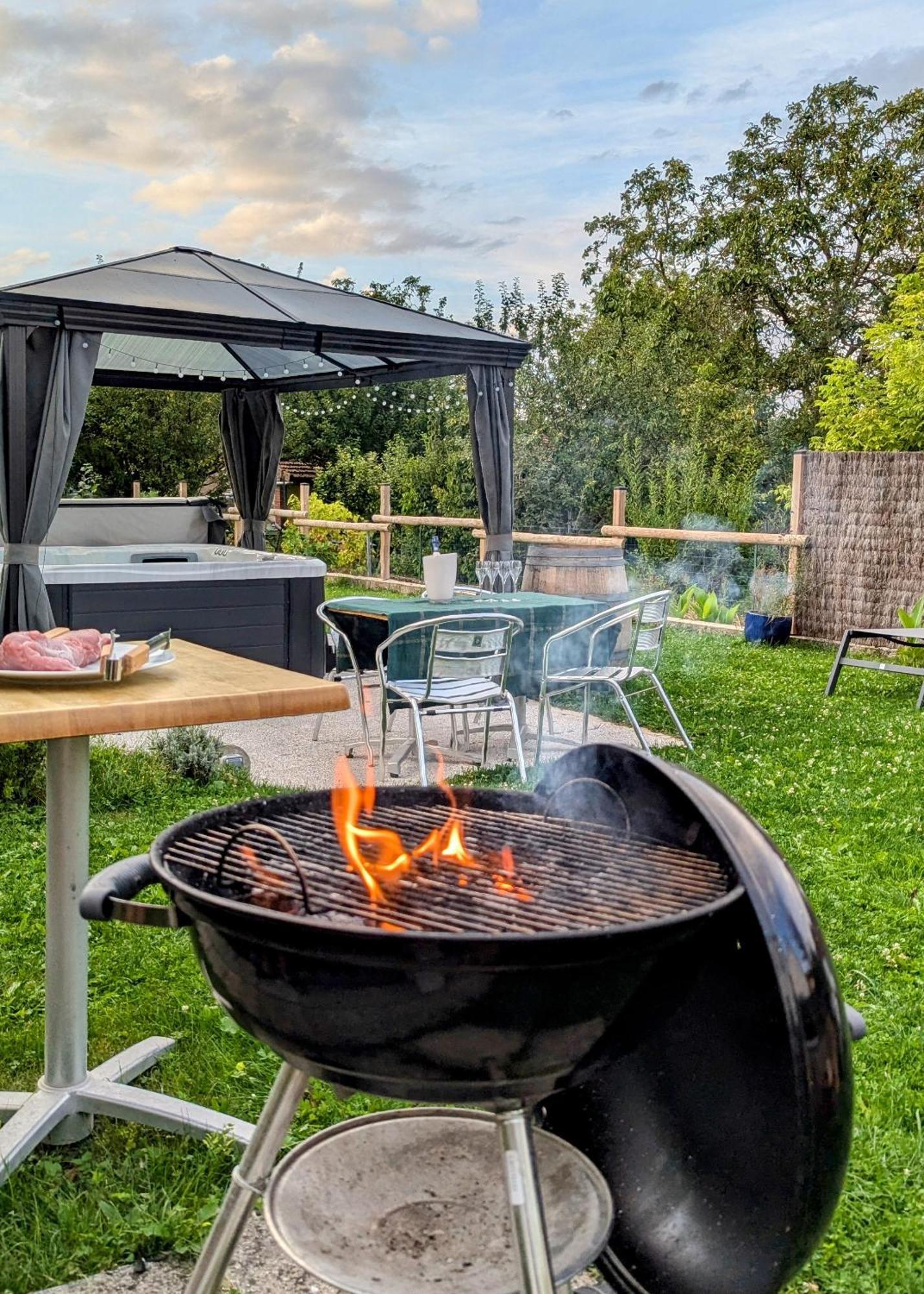 Le Cemarose: Spa, Jardin, Terrasse Et Jolie Vue Au Coeur D'Epernay Ngoại thất bức ảnh